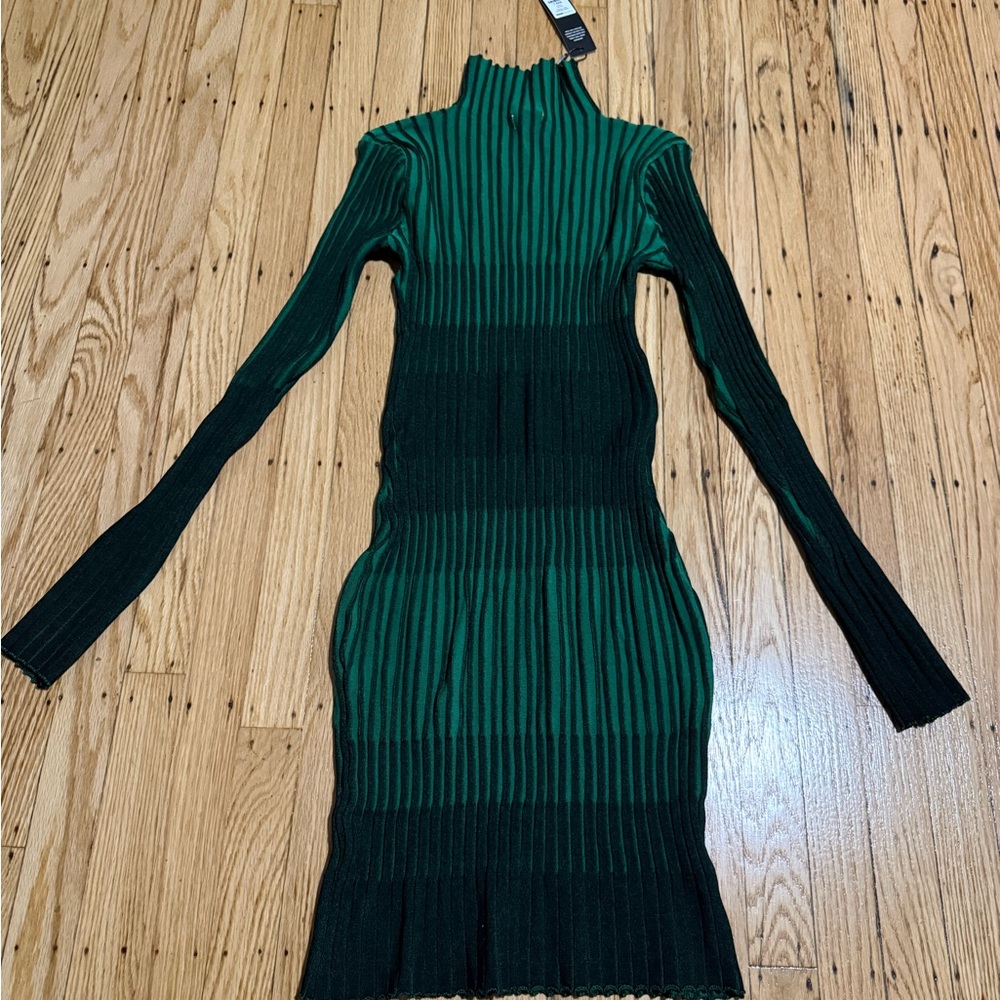 Fashion Nova Green and Black Long Sleeve Dress